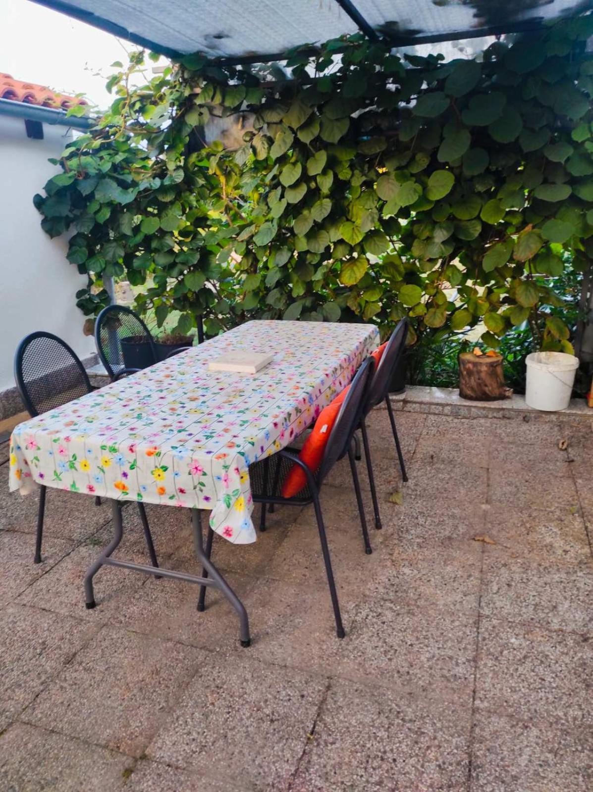 Apartman Jenny-Porec Kosinozici Eksteriør bilde