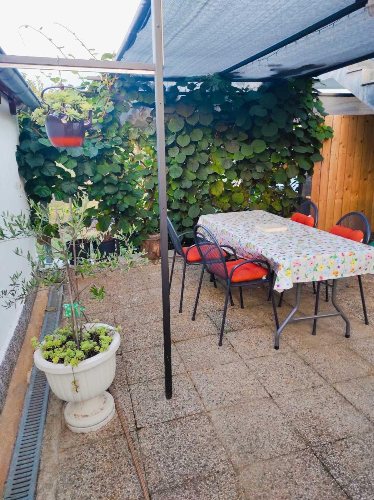 Apartman Jenny-Porec Kosinozici Eksteriør bilde